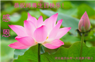 河北大法弟子恭贺世界法轮大法日暨师尊华诞(19条)