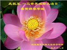 保定大法弟子恭贺世界法轮大法日暨师尊华诞(21条)
