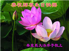 秦皇岛大法弟子恭贺世界法轮大法日暨师尊华诞(21条)