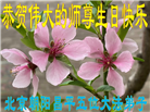 北京大法弟子和百姓恭贺世界法轮大法日暨师尊华诞(24条)