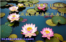 大陆大法弟子恭贺世界法轮大法日暨师尊华诞(114条)