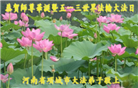 河南大法弟子恭贺世界法轮大法日暨师尊华诞(20条)
