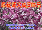 北京大法弟子恭贺世界法轮大法日暨师尊华诞(18条)