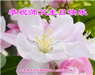 北京大法弟子恭贺世界法轮大法日暨师尊华诞(18条)