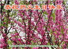 北京大法弟子恭贺世界法轮大法日暨师尊华诞(18条)