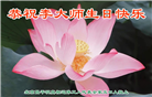 北京等地大法弟子恭贺世界法轮大法日暨师尊华诞(31条)