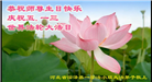 石家庄大法弟子恭贺世界法轮大法日暨师尊华诞(24条)