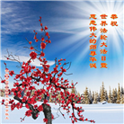 湖南、吉林、江苏大法弟子恭贺世界法轮大法日暨师尊华诞(28条)