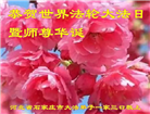 石家庄大法弟子恭贺世界法轮大法日暨师尊华诞(24条)