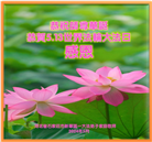 石家庄大法弟子恭贺世界法轮大法日暨师尊华诞(24条)