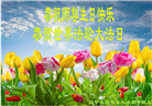 沈阳大法弟子恭贺世界法轮大法日暨师尊华诞(20条)