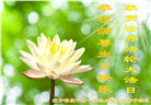 沈阳大法弟子恭贺世界法轮大法日暨师尊华诞(20条)