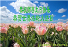 沈阳大法弟子恭贺世界法轮大法日暨师尊华诞(20条)