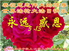 大陆大法弟子恭贺世界法轮大法日暨师尊华诞(31条)