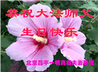 大陆大法弟子恭贺世界法轮大法日暨师尊华诞(31条)