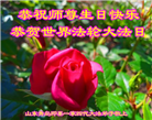 山东大法弟子恭贺世界法轮大法日暨师尊华诞(37条)