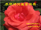 山东大法弟子恭贺世界法轮大法日暨师尊华诞(35条)