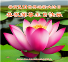 大庆大法弟子恭贺世界法轮大法日暨师尊华诞(19条)