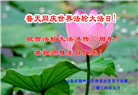 山东大法弟子恭贺世界法轮大法日暨师尊华诞(35条)