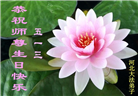 河北大法弟子恭贺世界法轮大法日暨师尊华诞(18条)