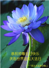 河北大法弟子恭贺世界法轮大法日暨师尊华诞(18条)