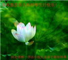 河北大法弟子恭贺世界法轮大法日暨师尊华诞(18条)