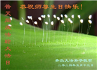 山东大法弟子恭贺世界法轮大法日暨师尊华诞(37条)