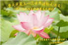 浙江大法弟子恭贺世界法轮大法日暨师尊华诞(21条)