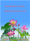 保定大法弟子恭贺世界法轮大法日暨师尊华诞(21条)