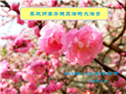 哈尔滨大法弟子恭贺世界法轮大法日暨师尊华诞(19条)