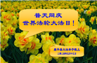 沈阳大法弟子恭贺世界法轮大法日暨师尊华诞(18条)