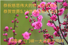 河南大法弟子恭贺世界法轮大法日暨师尊华诞(20条)