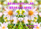 沈阳大法弟子恭贺世界法轮大法日暨师尊华诞(18条)