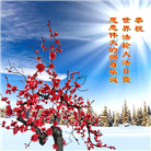 吉林市大法弟子恭贺世界法轮大法日暨师尊华诞(21条)