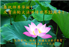 大陆大法弟子恭贺世界法轮大法日暨师尊华诞(39条)