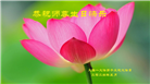 大陆大法弟子恭贺世界法轮大法日暨师尊华诞(36条)