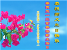 大陆大法弟子恭贺世界法轮大法日暨师尊华诞(25条)