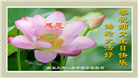 大陆大法弟子恭贺世界法轮大法日暨师尊华诞(18条)