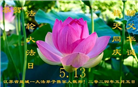 大陆大法弟子恭贺世界法轮大法日暨师尊华诞(114条)