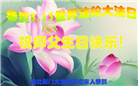 大陆大法弟子恭贺世界法轮大法日暨师尊华诞(114条)