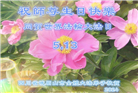 大陆大法弟子恭贺世界法轮大法日暨师尊华诞(114条)