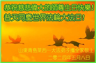 大陆大法弟子恭贺世界法轮大法日暨师尊华诞(114条)