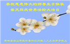 大陆大法弟子恭贺世界法轮大法日暨师尊华诞(114条)
