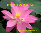 大陆大法弟子恭贺世界法轮大法日暨师尊华诞(176条)