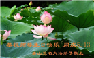 大陆大法弟子恭贺世界法轮大法日暨师尊华诞(176条)