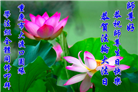 大陆大法弟子恭贺世界法轮大法日暨师尊华诞(176条)