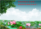 大陆大法弟子恭贺世界法轮大法日暨师尊华诞(189条)
