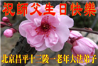 大陆大法弟子恭贺世界法轮大法日暨师尊华诞(189条)