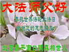 大陆大法弟子恭贺世界法轮大法日暨师尊华诞(189条)