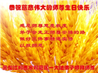 大陆大法弟子恭贺世界法轮大法日暨师尊华诞(189条)